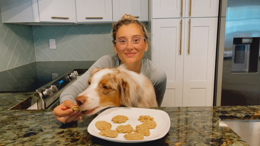 Easy dog cookies recipe | Canine's Collar