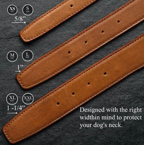Cognac leather dog collar set for dad