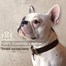 Load image into Gallery viewer, Brown cowhide leather dog collar 
