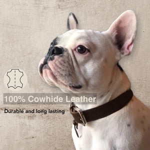 Brown cowhide leather dog collar 