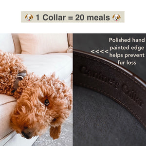genuine brown leather dog collar
