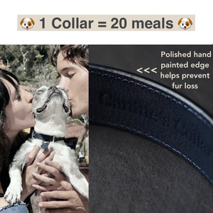 genuine blue cowhide leather dog collar
