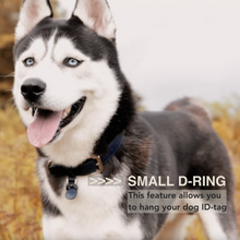 Load image into Gallery viewer, blue leather dog collar for dogs
