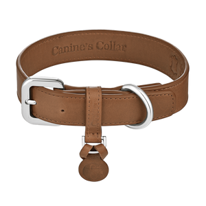 Best leather collar for dogs | Cognac