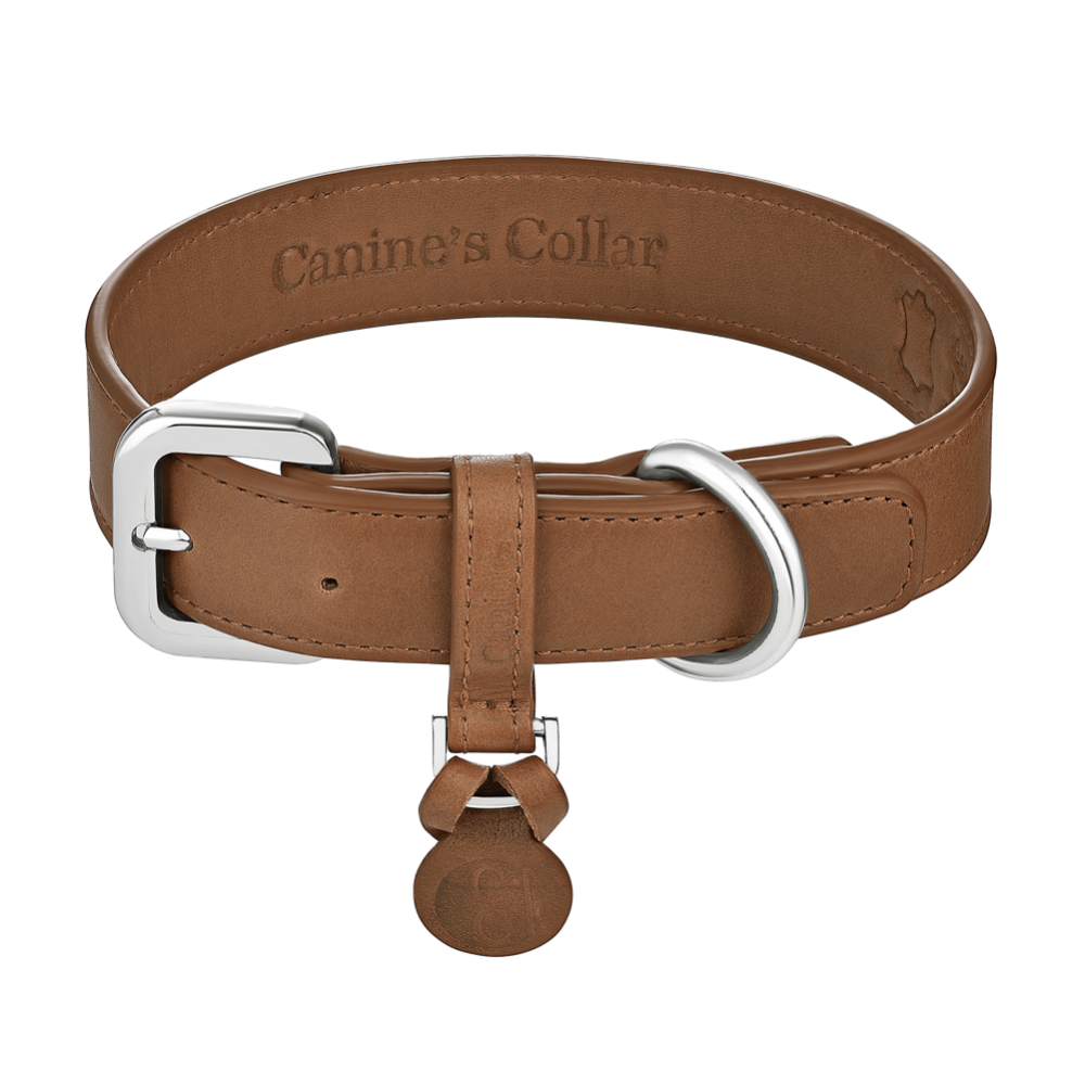 Best leather collar for dogs | Cognac