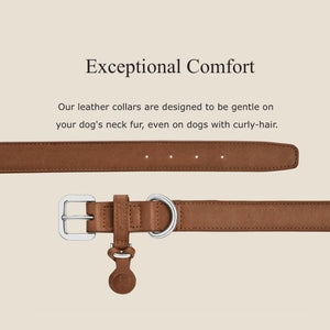 Trendy Cognac Leather dog collar 