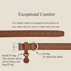 Cognac leather dog collar set 