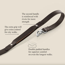 Load image into Gallery viewer, Mocha Leather dog leash for dogs
