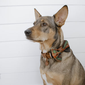Christmas Plaid Bow Tie for Dogs