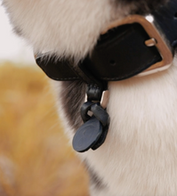 Load image into Gallery viewer, Real Leather dog collar and leash set

