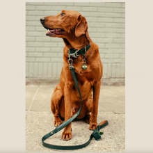 Load image into Gallery viewer, Green collar and Leash Set

